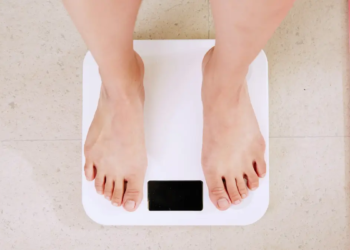 디지털 체지방 인바디 스마트 체중계 비교