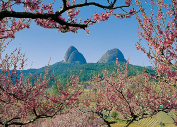 산림청 100대 명산