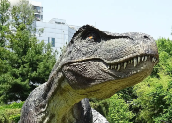 세계 최대 티라노사우루스 스코티