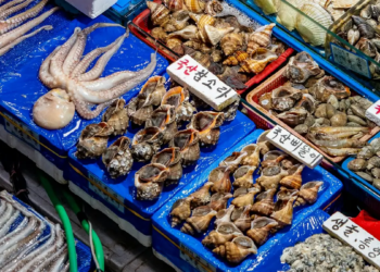 온누리 상품권 환급 행사 2024년 8월