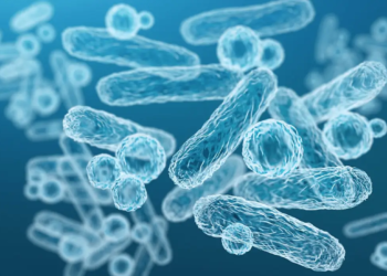 토종 유산균 효능
