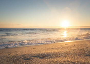 해양문화 대장정