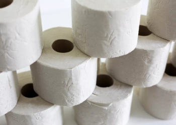 화장실용 두루마리 화장지 추천 화장실용 두루마리 화장지 추천