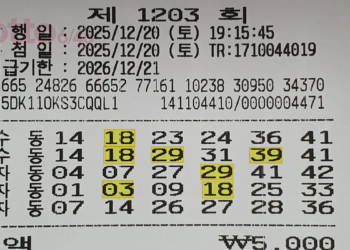 로또 1204회 예상번호 제외수 1203회 당첨번호 당첨지역 당첨금액 실수령액