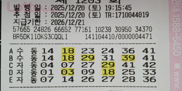 로또 1204회 예상번호 제외수 1203회 당첨번호 당첨지역 당첨금액 실수령액