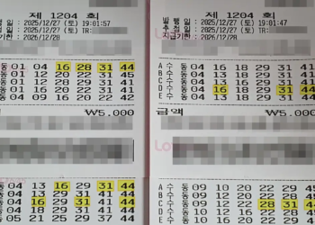 로또 1205회 예상번호 제외수 1204회 당첨번호 당첨지역 당첨금액 실수령액